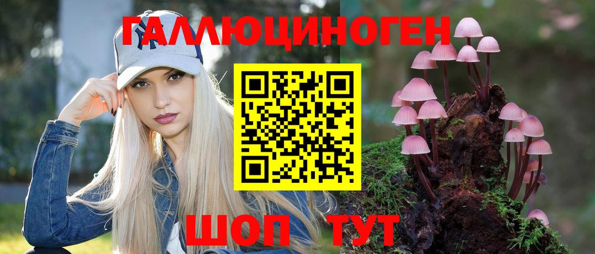 Псилоцибиновые грибы Cubensis Мурино