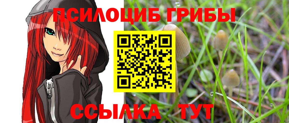 Мурино  Галлюциногенные грибы Psilocybine cubensis  Вход с VPN  Галлюциногенные грибы Psilocybe 